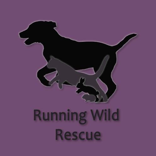 https://www.facebook.com/Runningwildrescue/