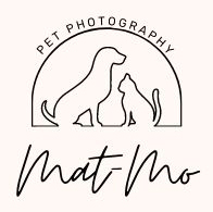 http://www.mat-mophotography.com/