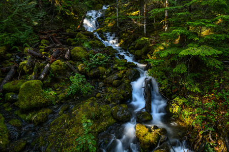 Waterfall Below Lena Lake