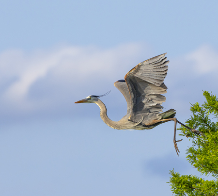 Taking the Leap