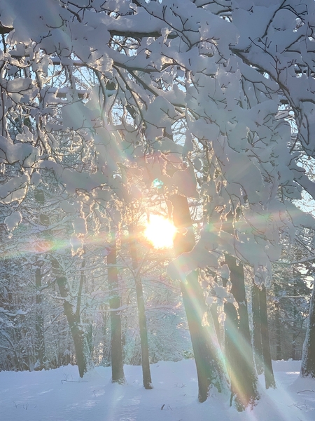 Snowy Sunrise