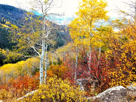 Steamboat in Autumn