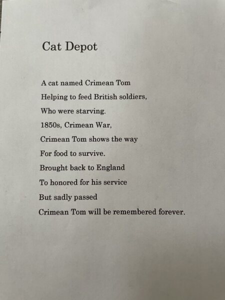 Cat Depot