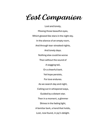 Lost Companion