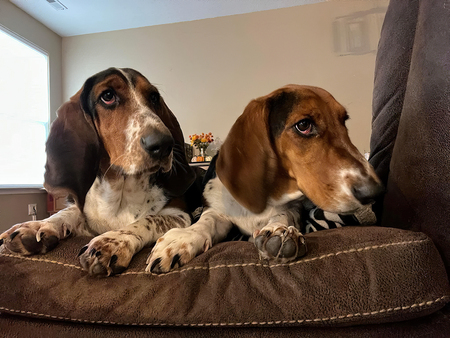 Penny & Gracie