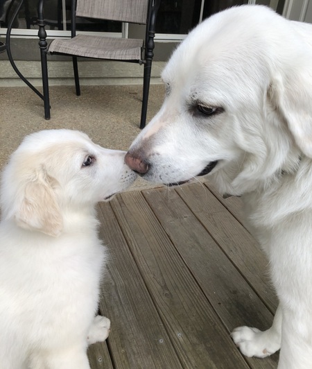 Ghost meets baby Spirit