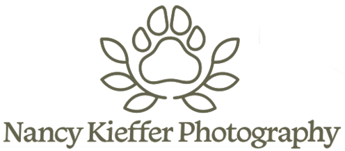 https://nancykiefferphotography.com/