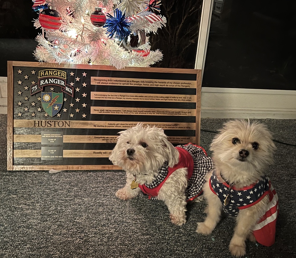 Vote for Sassy & Lola Vet Pets 2025 Calendar Contest