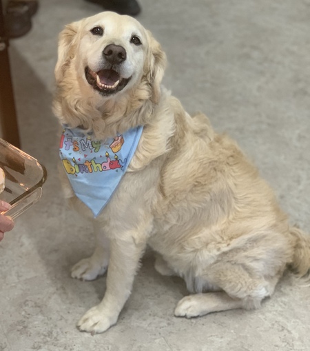 Shiloh, Director of Barketing