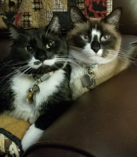 Amigo & Django