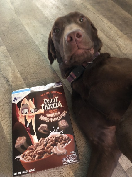 Count Chocula