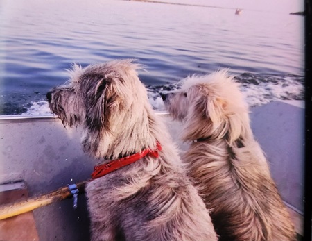 The Bay Boys (Bob and Bo Jack)