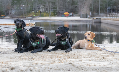 Daphne, Adam, Auti, and Don