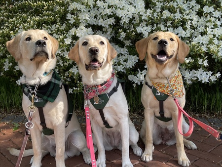 Eddie, Ivy, and Qantas