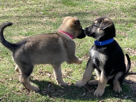 Abby and Amari