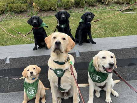 Dora, Nutmeg, Dave, Payton, Reed, and Leia