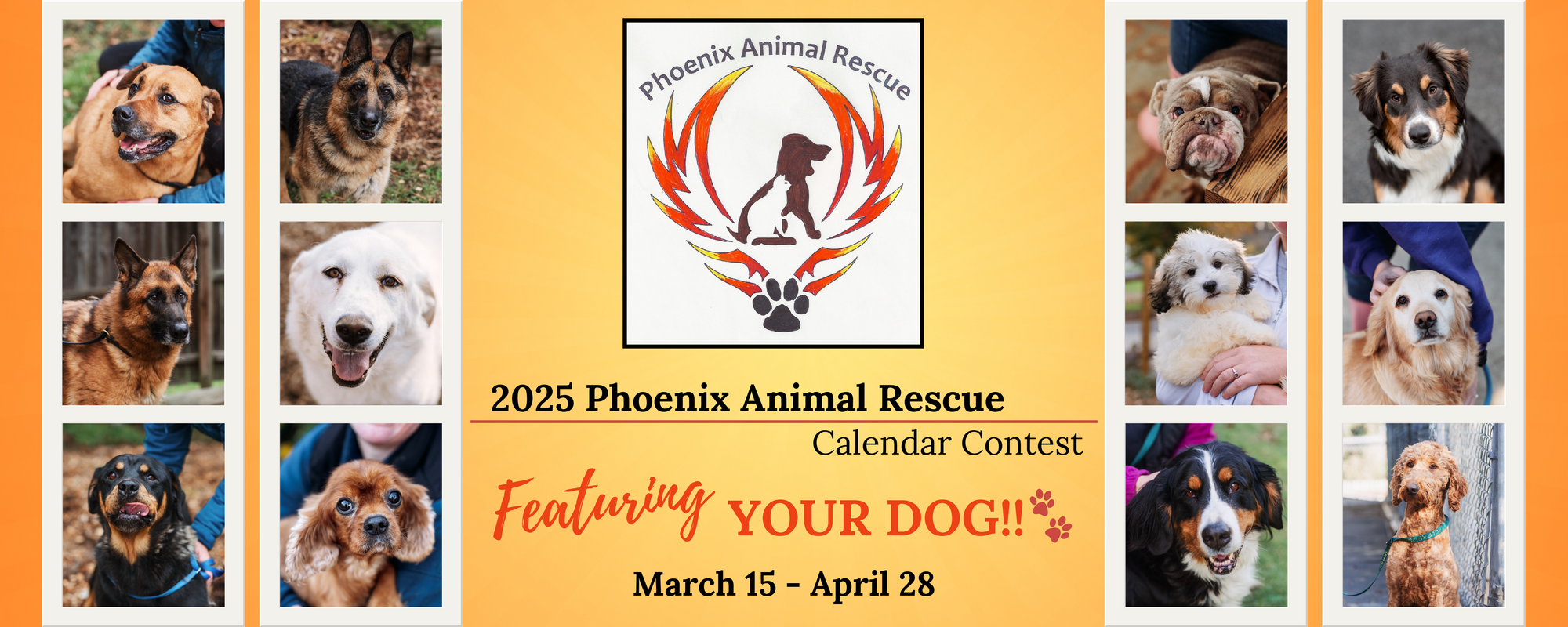 Phoenix Animal Rescue Phoenix Animal Rescue 2025 Calendar Contest