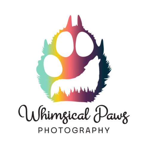 https://www.whimsicalpawsphotography.com