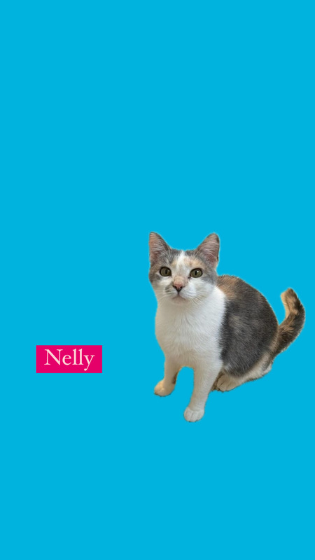 Nelly