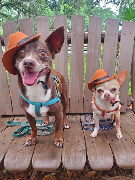 Cliff & Nacho