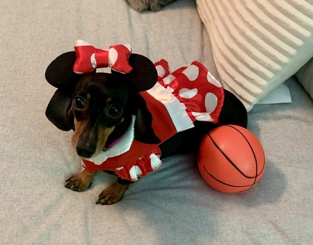 Minnie 