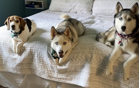 Gabe, Kota, & Moon 