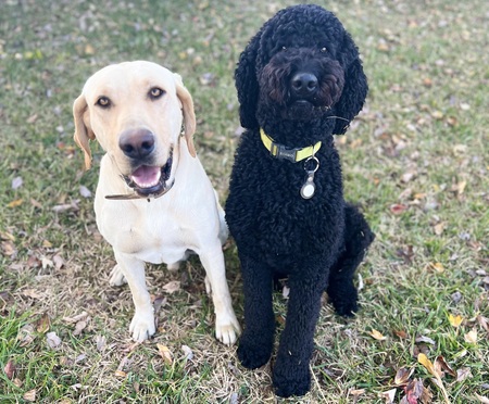 Clyde and Barker