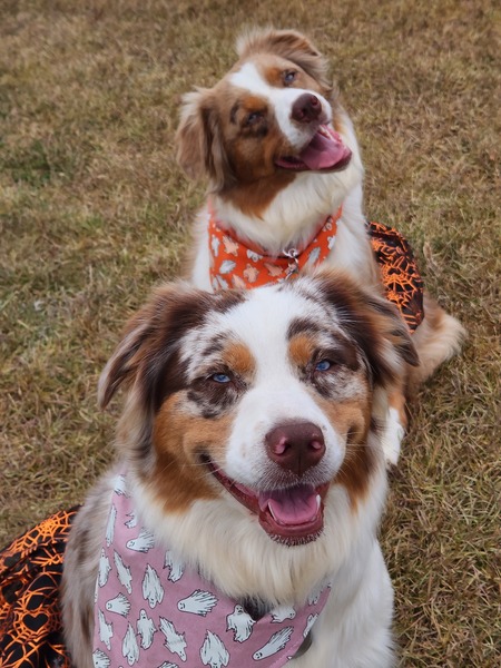 Cora Louise and Beatrice Shaylene