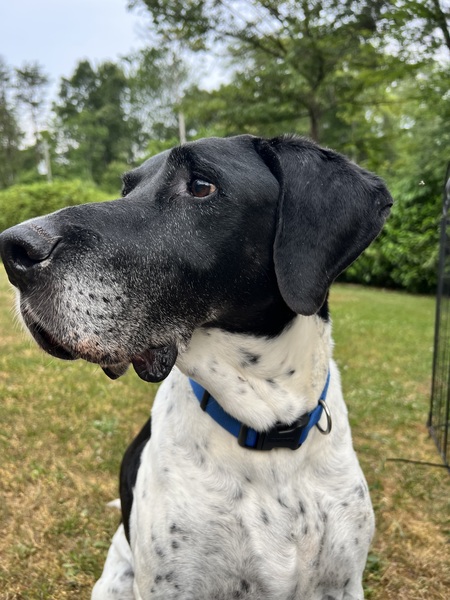 Handsome Oreo Profile Pic