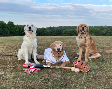 Sadie, Maddie & Trooper