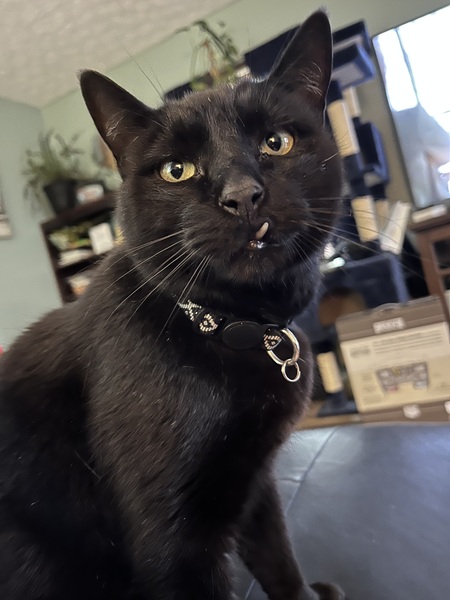 Snaggletooth