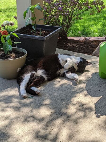 Sunbathing Boots