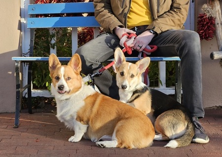 Einstein and Eleanor