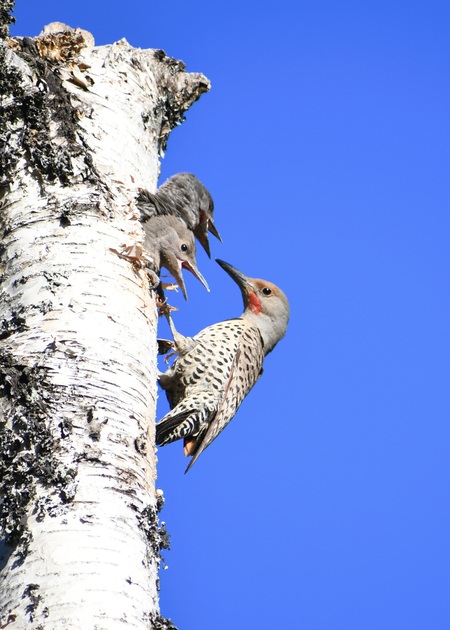 Feeding time