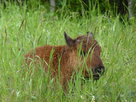 Still a little shy