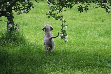 Agnes 6 weeks