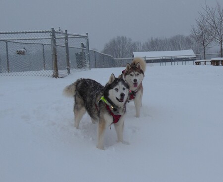 Tiki & Jenna