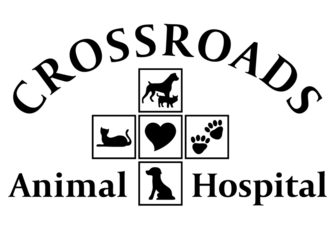 Crossroads Animal Hospital