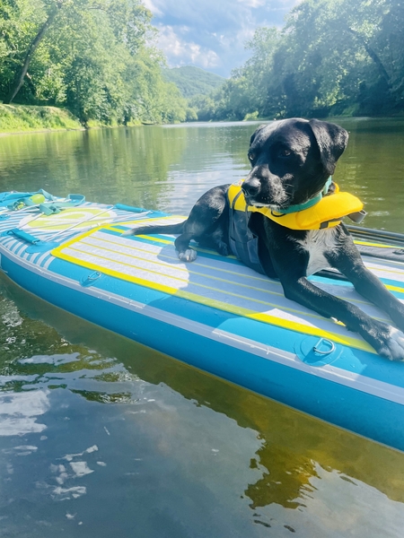 Paws and Paddles: Lenny's Big River Adventure