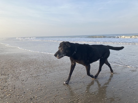 The Old Man and the Sea