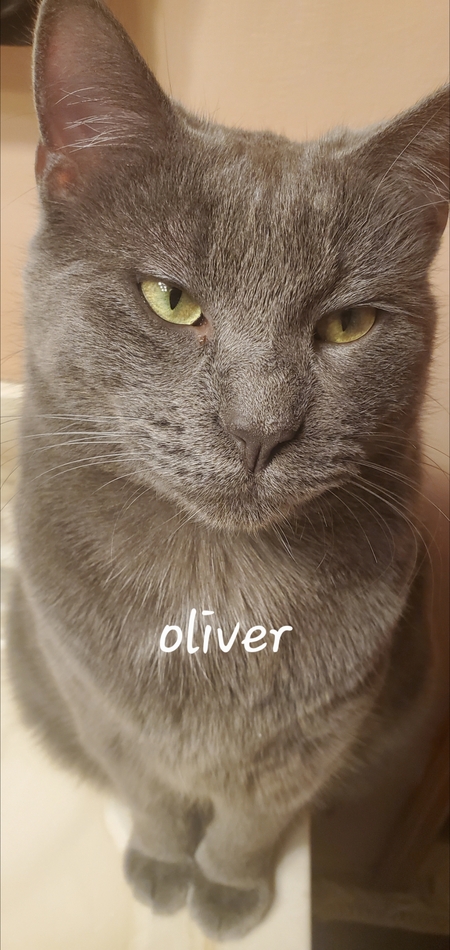 Oliver