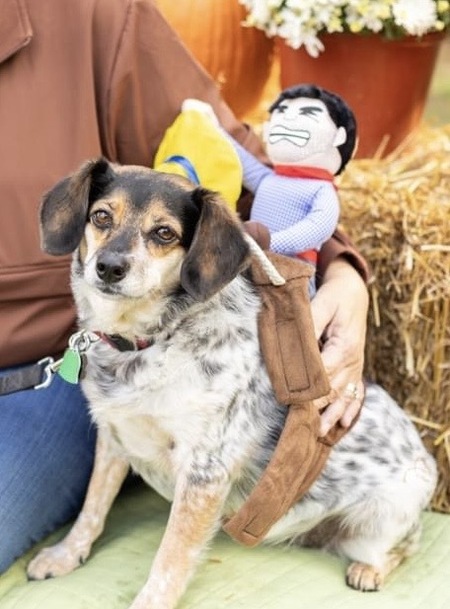 Katie (and Cody, Halloween costume)