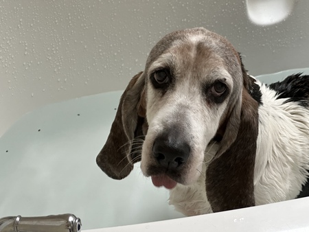 Steve  in the bath