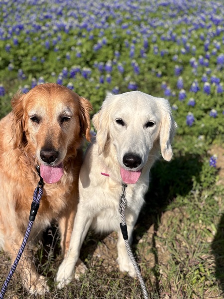 Katie & Opal