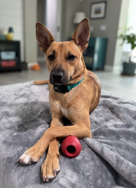 Kona