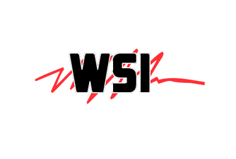 WSI Inspections