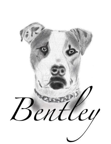 Bentley