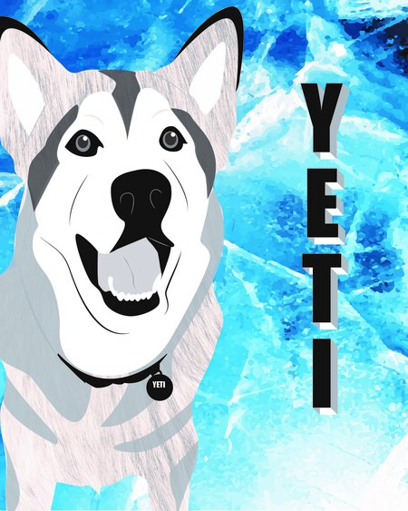 Yeti