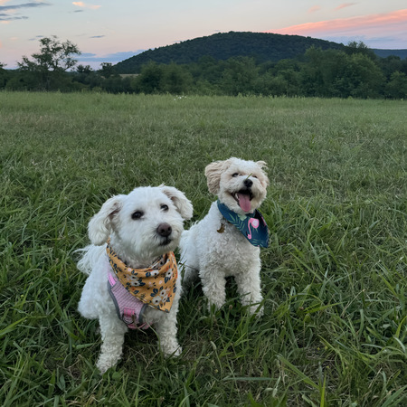 Ayla and Suki 