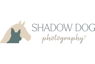 Shadow Dog Photography